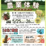 20190408河津さくらの里しぶやのサムネイル
