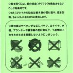 20190620 保健所(蚊の退治は幼虫から)のサムネイル
