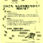 20191224 外来生物の注意喚起のサムネイル