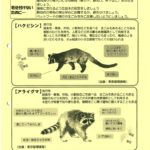 ハクビシン・アライグマのサムネイル