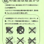 55_1_R7_ポスター「蚊の退治は幼虫から（イラストあり）」のサムネイル